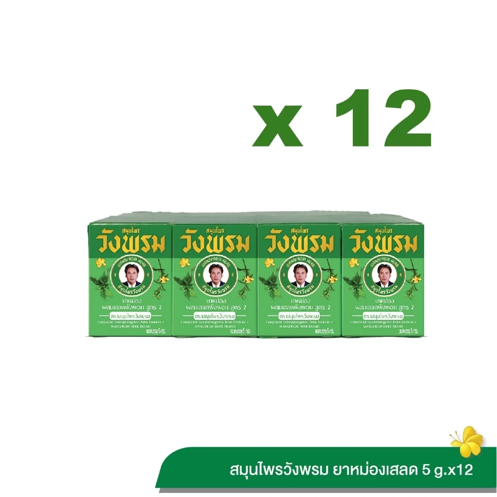 Wangpromherb สมุนไพรวังพรม ยาหม่องผสมเสลดพังพอน สูตร 2 ขนาด 5 กรัม (12 ขวด)