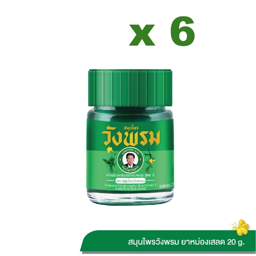 Wangpromherb สมุนไพรวังพรม ยาหม่องผสมเสลดพังพอน สูตร 2 ขนาด 20 กรัม แพ็ก 6 ขวด