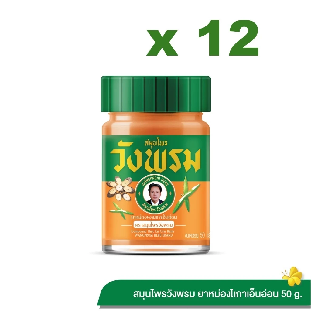 ยาหม่องผสมเถาเอ็นอ่อน สมุนไพรวังพรม Wangpromherb ขนาด 50 กรัม (12 ขวด)